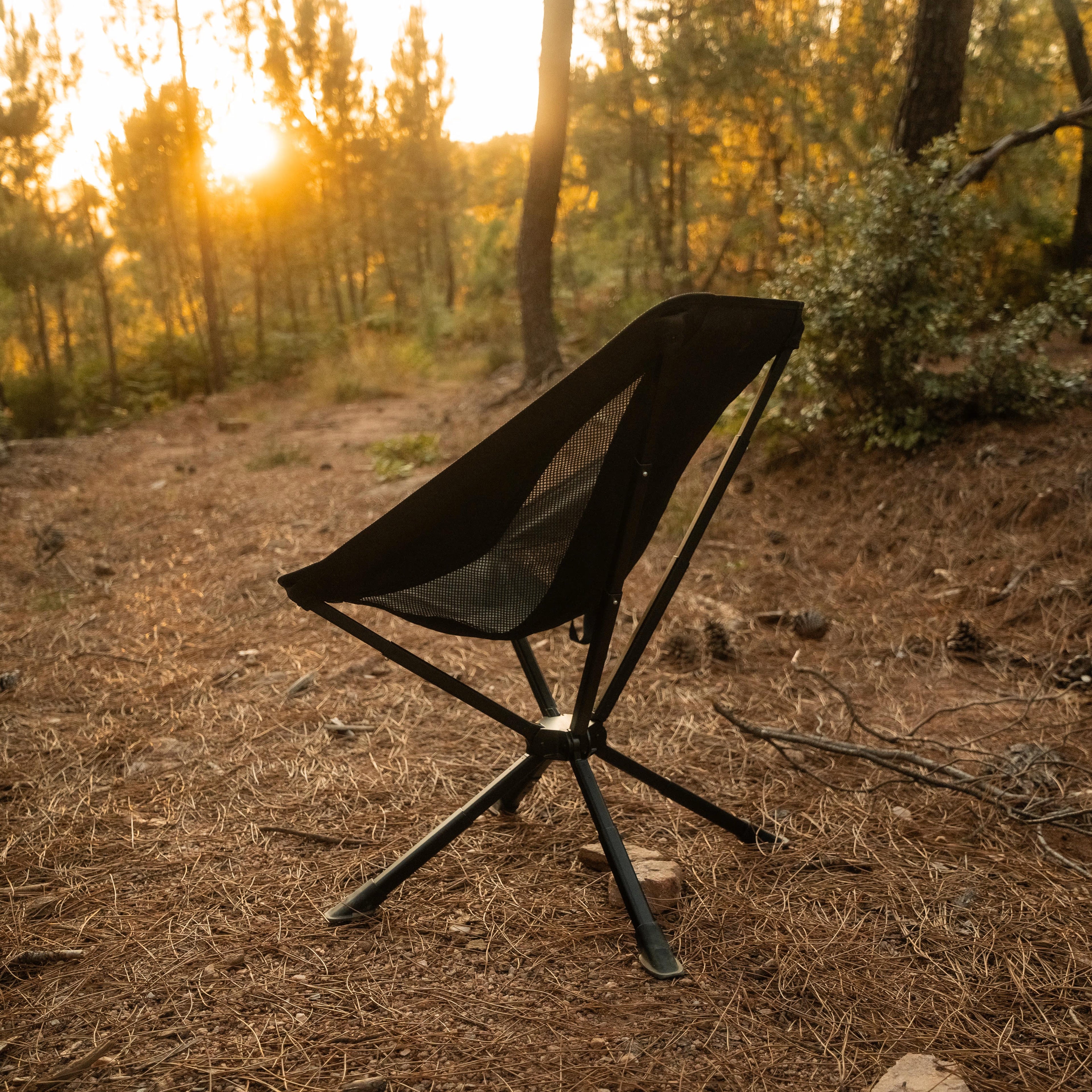 Chaises Atlas