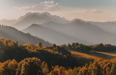 Une chaîne de montagnes brumeuse au coucher du soleil, avec des arbres d'automne au premier plan.
